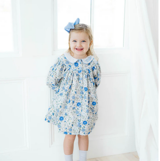 Blue Foral Collared Dress